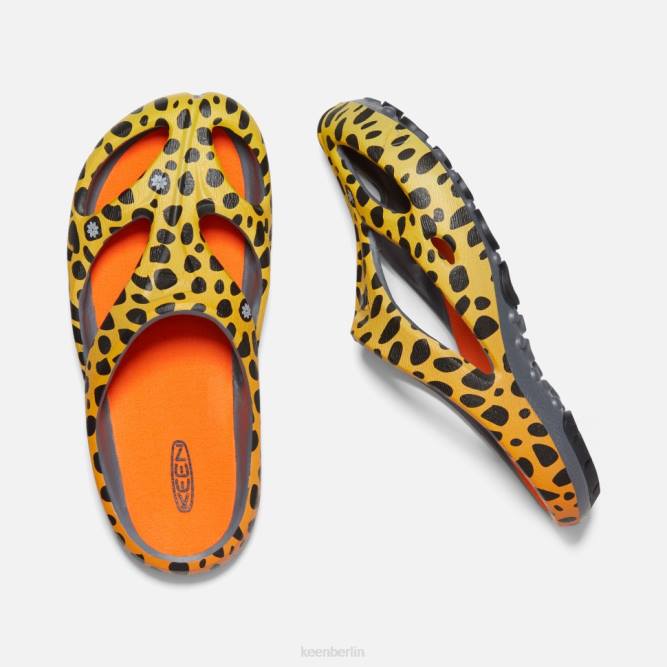 R0Z4340 Shanti-Kunst Keen Der Geparden-Regenbogen