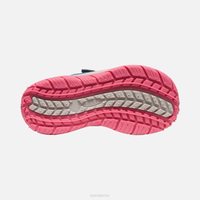 R0Z4542 großer Geschwindigkeitshund Keen blaugrüne Fruchttaube mit Flügeln