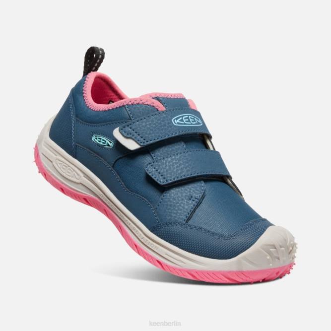 R0Z4542 großer Geschwindigkeitshund Keen blaugrüne Fruchttaube mit Flügeln