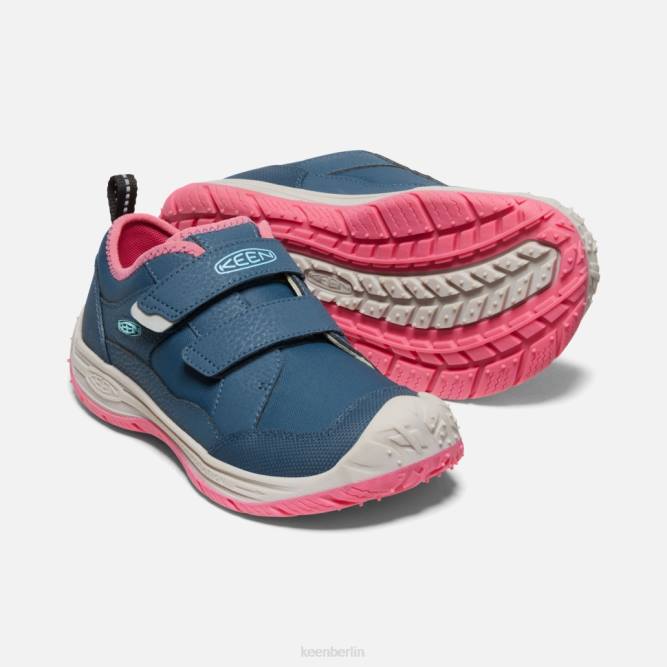 R0Z4542 großer Geschwindigkeitshund Keen blaugrüne Fruchttaube mit Flügeln