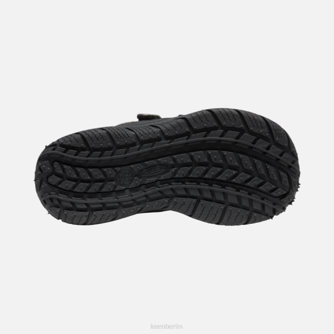 R0Z4543 großer Geschwindigkeitshund Keen schwarzes Silber