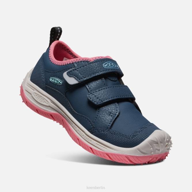 R0Z4544 kleiner Speedhound Keen blaugrüne Fruchttaube mit Flügeln