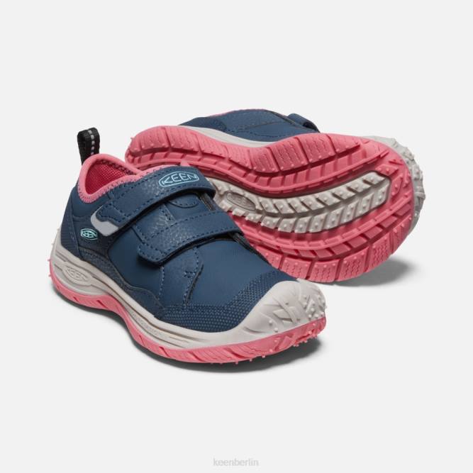 R0Z4544 kleiner Speedhound Keen blaugrüne Fruchttaube mit Flügeln