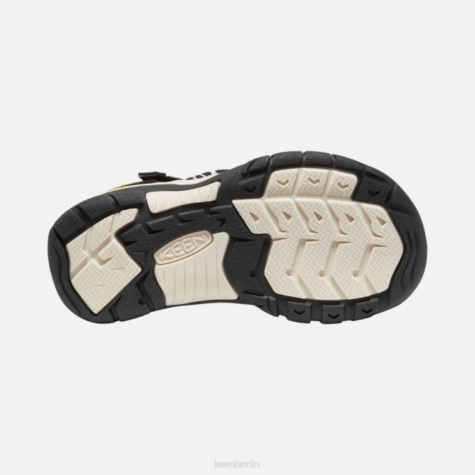 R0Z4551 groß \ newport h2 Keen ATMS Zebrastern