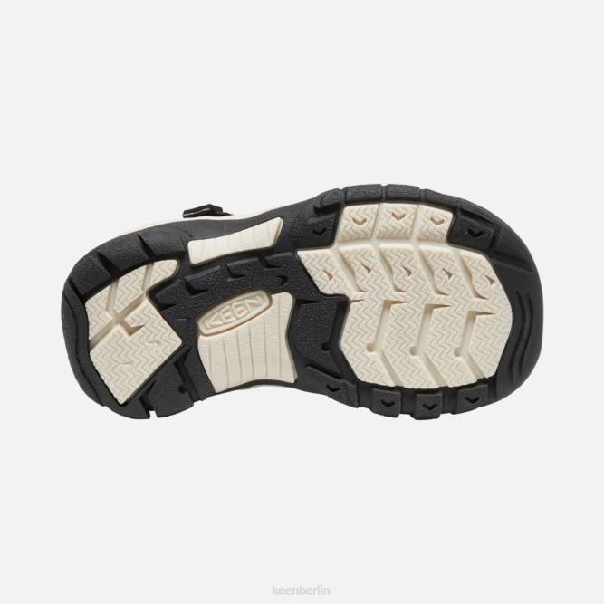 R0Z4570 kleiner \Newport H2 Keen ATMS Zebrastern