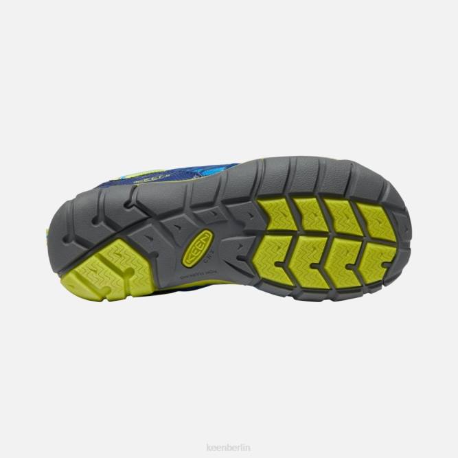 R0Z4590 großer \chandler cnx Keen brillante blau-blaue Tiefen