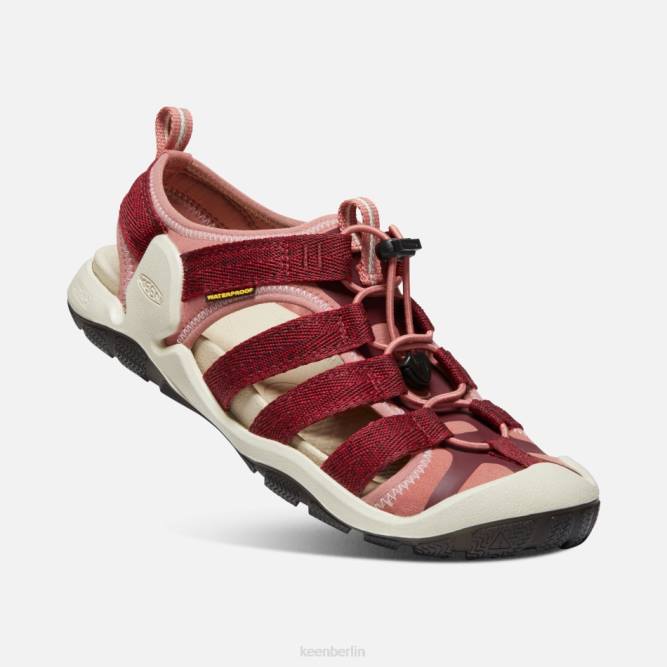 R0Z490 cnx ii Keen rote Dahlie-Andorra