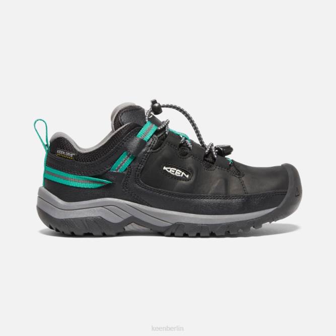 R0Z4604 Großer wasserdichter Targhee-Schuh Keen Schwarz-Stern-Weiß