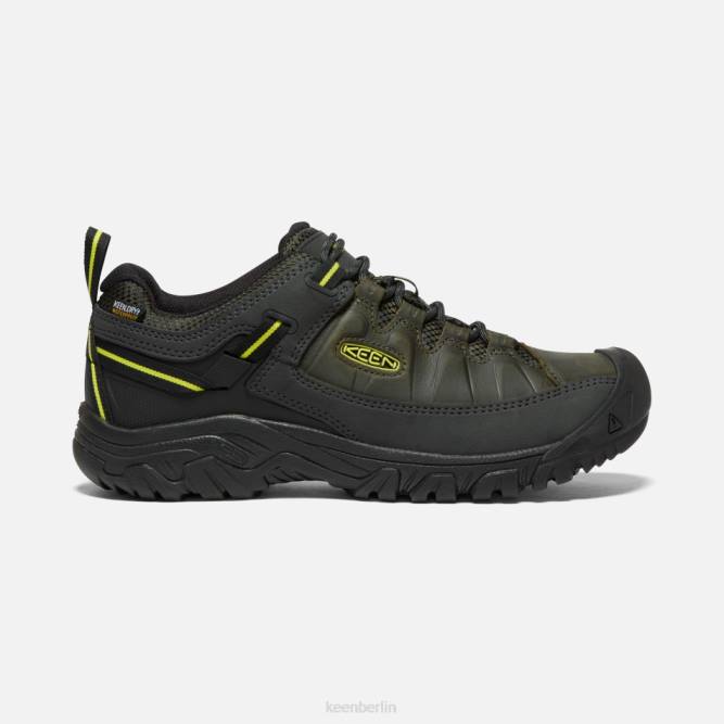 R0Z4256 Targhee III wasserdichte Wanderschuhe Keen Waldnacht-Nachtkerze